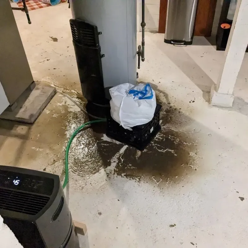 Sewage Backup Cleanup Service in Yadkin County, NC